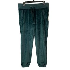 Athleta Double Cozy Karma Jogger